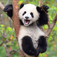 Dr. Lord Muckelchen YT