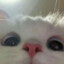 kio