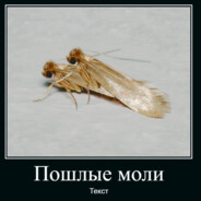 Пошлая Молли