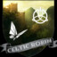 CelticRobin