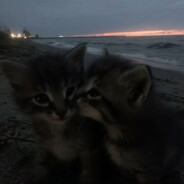 шизофрения