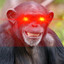 Monke