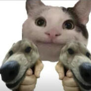 双枪会给出答案