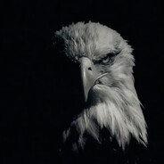 ///'s avatar