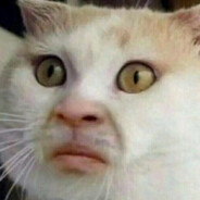 东北沈阳小旋风[CN]