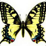 raymori
