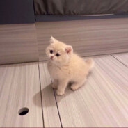 No Name avatar