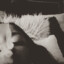 Shelby dulce te seduce&lt;3