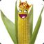 CornStar