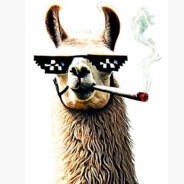 Llama6969