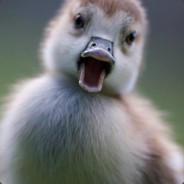 Похититель Ароматов