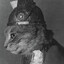 Brunnhilde