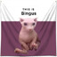 Bingus