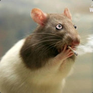 明年要上五年级