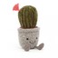 Succulent Cactus