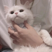 爱曾全部给你·