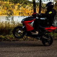 Bulle {｡^◕‿◕^｡}