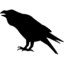 Corvus