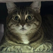 BABOS - steam id 76561199848519687