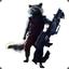Raccoon*