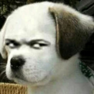 吾乃隔壁王老五