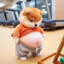 叫我jj