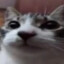 kpyto