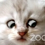 I'm Not a Cat - steam id 76561197963716030