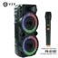 BT SPEAKER