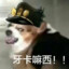 这我不乱杀