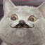 ZloyKaban4ick