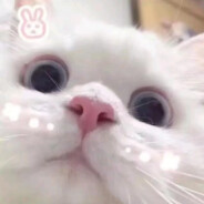 她说故事止于盛夏