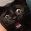MrVinnii