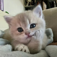 ?# - steam id 76561199001676849
