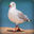 Sven The Seagull