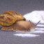 snailboy