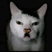 Austrian painter skins.army