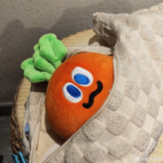 🥕胡萝卜大王🥕