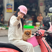 Khánh Tập Chơi