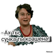 Краеная суча