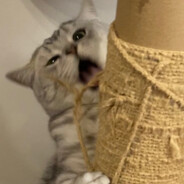 他有医保先救我