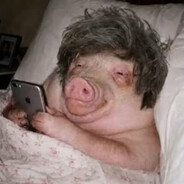 Avatar snapshot