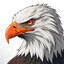 eagle eye