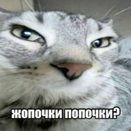 жопочки попочки?