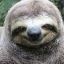 RapingSloth