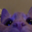 Madziaaa
