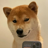 60岁大爷卖牛子起狙