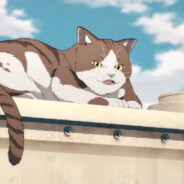 两手空空的小宁