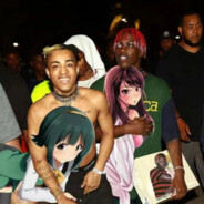 我的城市没有愛