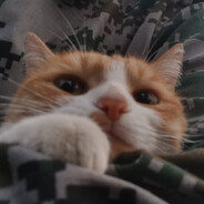 burn a sun to say bye